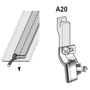 A20